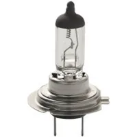 Car lamp SCT-GERMANY H7 Basic 12V 55W PX26d (202907)
