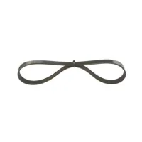 Bosch V-belt 1 987 946 006
