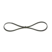 Bosch V-belt 1 987 947 807