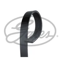 Poly V-belt Gates 6PK1245