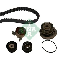 Timing belt kit with pump INA 530 0049 30