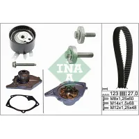 Timing belt kit with pump INA 530 0197 30