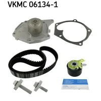Комплект ремня ГРМ з помпою SKF VKMC 06134-1