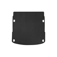 Mat in the trunk EVAtech Audi E-tron Quattro 2018+ SUV EU (AU12843B1RBB)