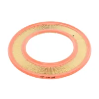 Wixfiltron WA6170 car air filter