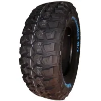 Kapsen tire 235/65R17 109/105Q RS25 (RS252356517LT)