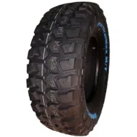Kapsen tire 245/65R17 111/108Q RS25 (RS252456517LT)