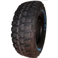 Kapsen tire 265/70R17 121/118Q RS25 (RS252657017LT)