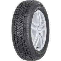 Tire Sunny 205/55R16 91V NC501 (9612)