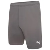 Shorts Puma teamRISE Short 704942-13 gray L (4063699212068)