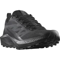 Кросівки Salomon Sense Ride 5 SR Black 11 (L47377600-11)