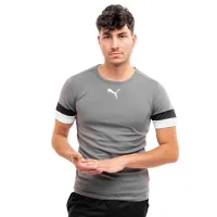 T-shirt Puma teamRISE Jersey 704932-13 gray XL (4063699213300)