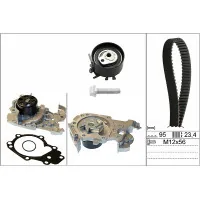 Timing belt kit with pump INA 530 0195 30