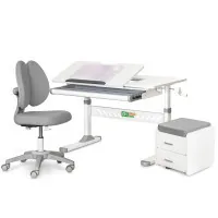 Desk with chair ErgoKids (L) Gray + sideboard (TH-310 + Y-412 Lite + BD C3_GREY)