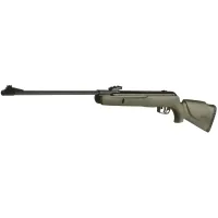 Пневматична гвинтівка Gamo BIG CAT 1000-E Barricade Combo (приціл 4х32 WR) (61100657-PEB)