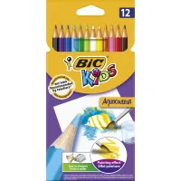 Colored pencils Bic Evolution Aquacouleur 12 pcs (bc8575614)