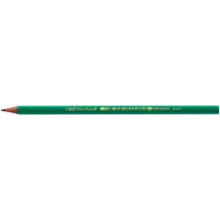 Bic Evolution HB graphite pencil (bc8803112)