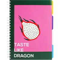 Notebook Optima Universal A4 with dividers and perforation, 120 sheets, cell (O20355-13)