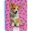 Блокнот Maxi А5, пластикова обкладинка, спіраль, 80 арк., клітинка (MX21950-03)