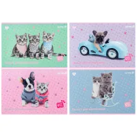Альбом для малювання Kite Studio Pets, 12 аркушів (SP25-241)