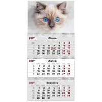 Axent quarterly wall calendar 2027, 3 Cats 2 (8803-27-8-A)