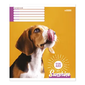 Student's notebook "Magika" 18 sheets # /TV-68/ №0013 "Mix Boys", UV varnish, soft touch (20/480)