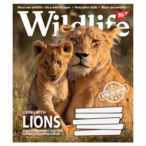 Student's notebook "YES" 96 sheets == /766133/ "Wild life" (5/120)