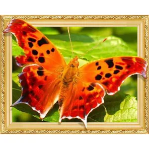 Diamond mosaic "JO" /0491ELT/ "Butterfly" on a stretcher 40*50cm